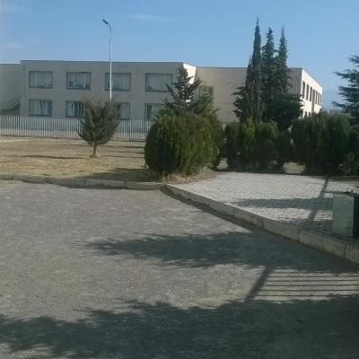 Ezo